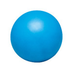 소형 밸런스 볼 NH3000 직경 20cm