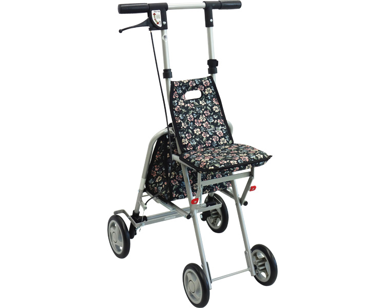 써니워커 실버카 AS-Ⅲ 코하나BK