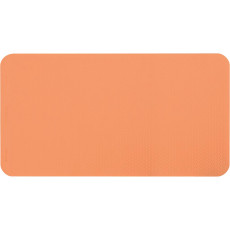 파나소닉 유클리어 욕실매트(곰팡이방지가공) L사이즈