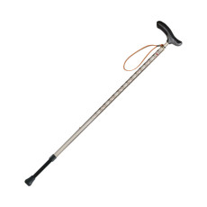 네오 클래식 신축 지팡이 605053 아이비 베이지