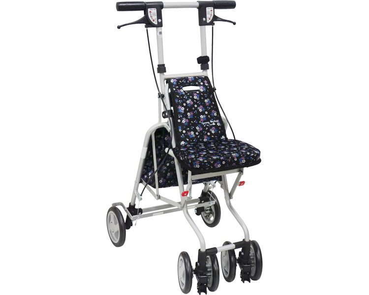 써니워커 실버카 AW-RB 클래식 가든 BK